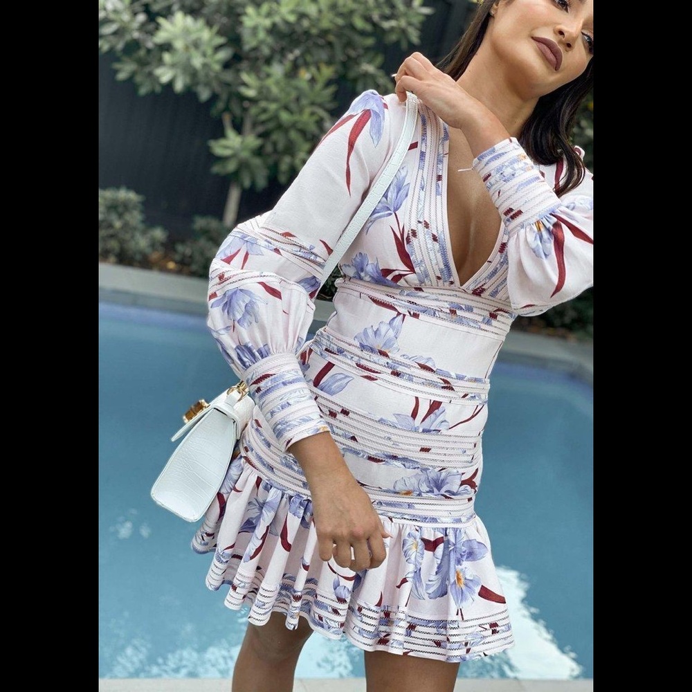 NWOT Zimmermann Linear Mini Dress